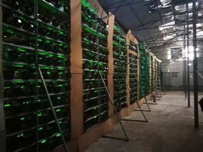 Hybrid ASIC and GPU mining rig setup at CryptoValley