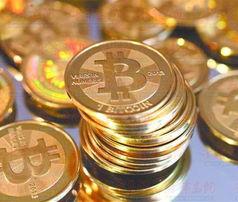 Bitcoin miners working in a large facility